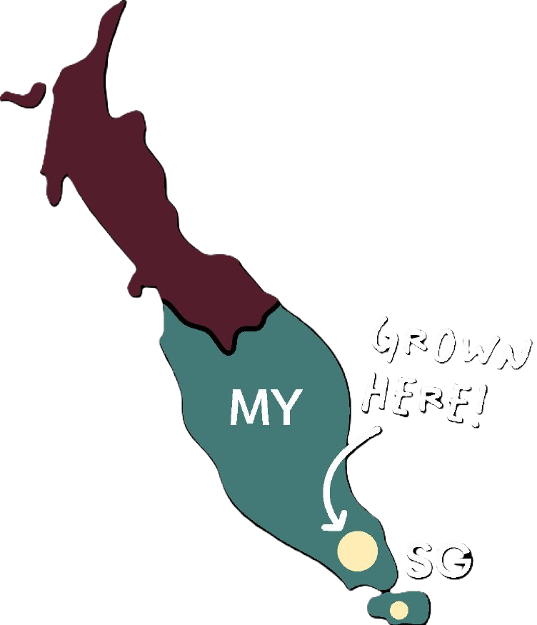 our story map